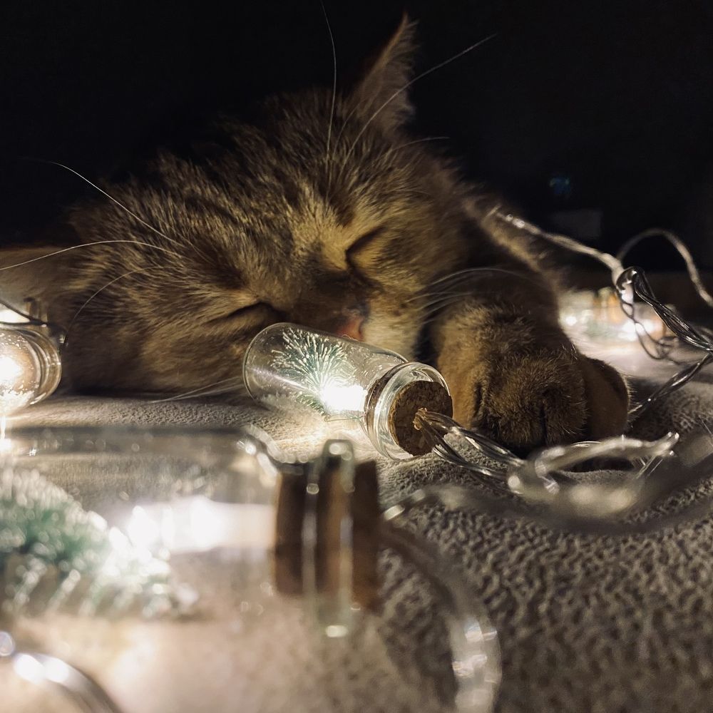 Photograph by Khavva Gudulova