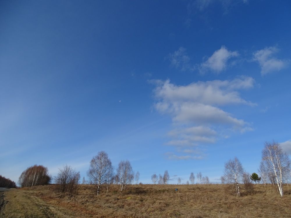 Фотография автора Александр Осинцев