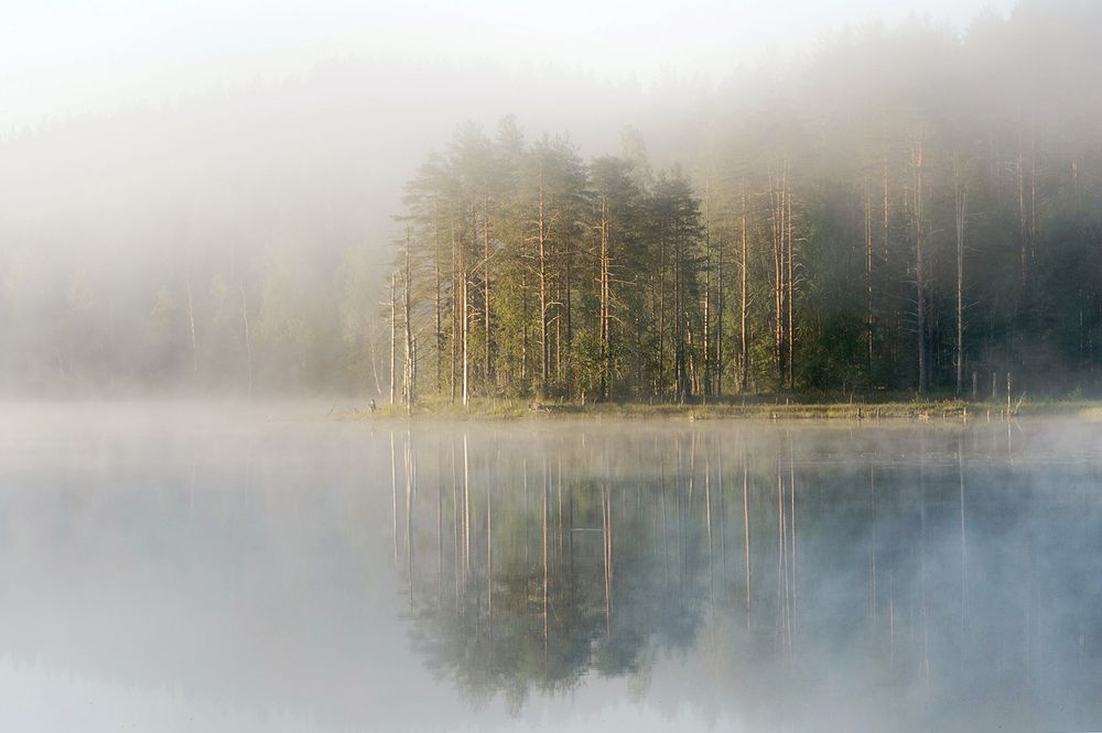 Photograph by Ольга Панова