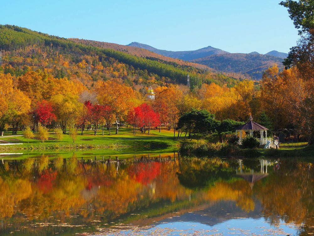 Фотография автора Olena Vorotyntseva