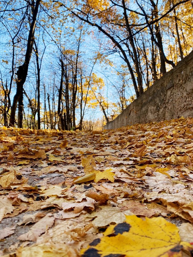 Photograph by Khavva Gudulova