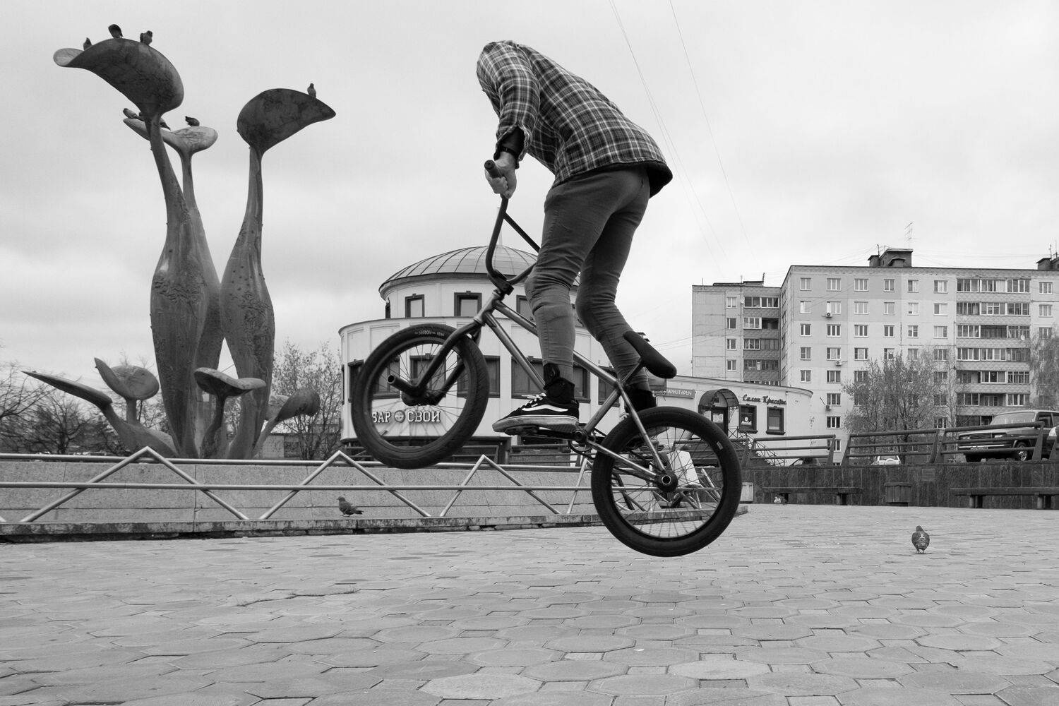 Photo #6699299