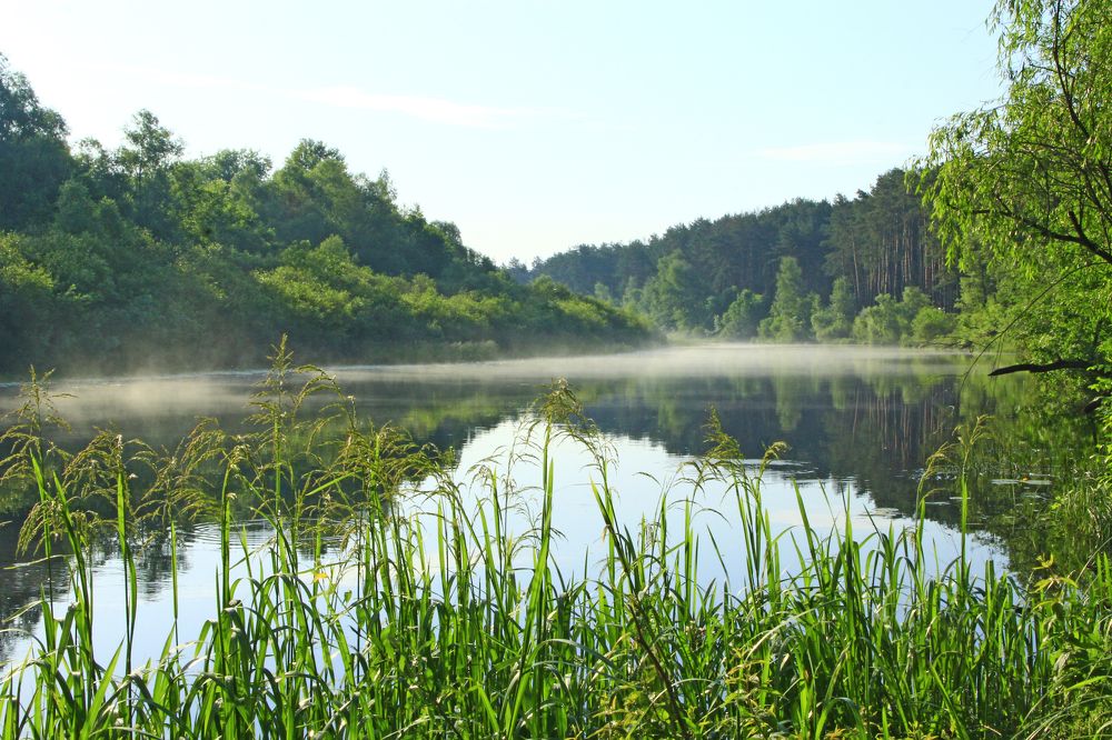 Photograph by Александр