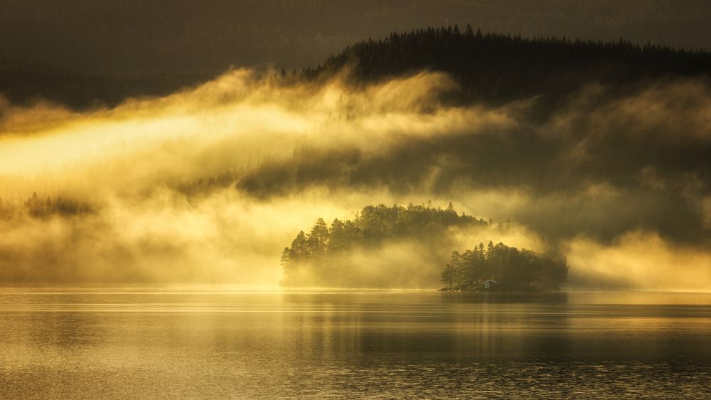 Photograph by Adrian Szatewicz