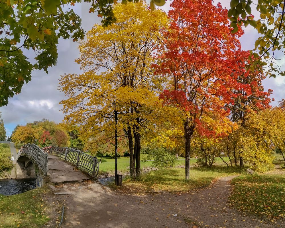 Photograph by Natalia Novikova