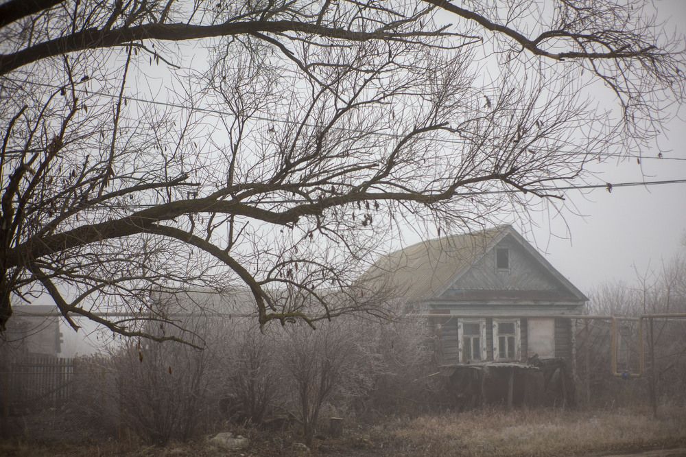 Photo #6699353