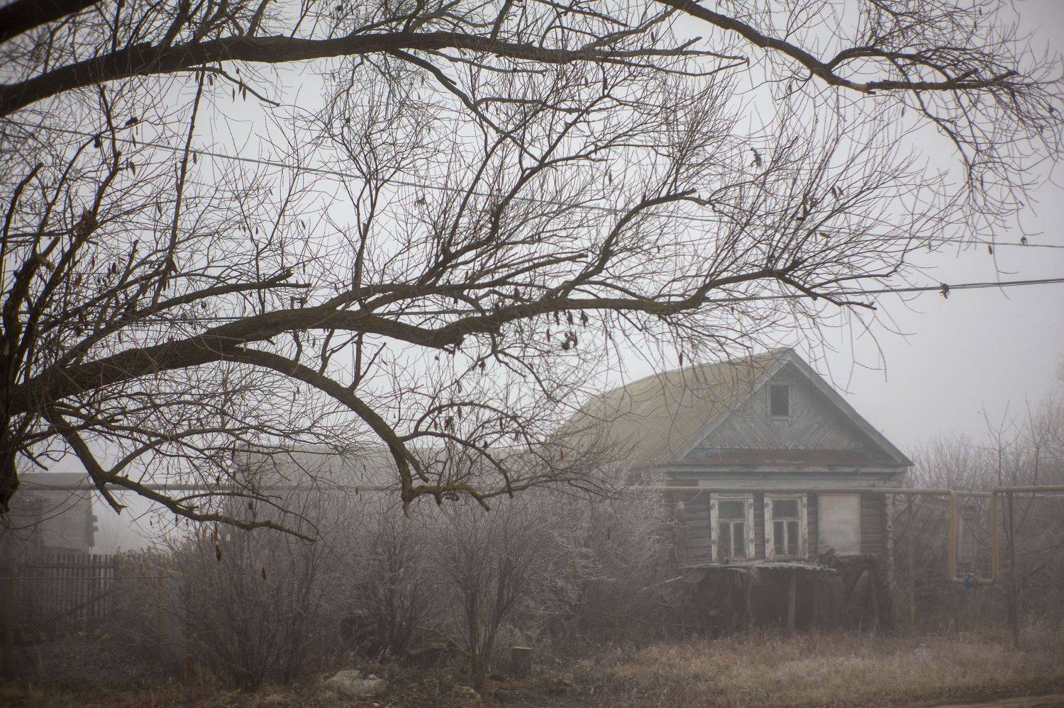 Photo #6699353