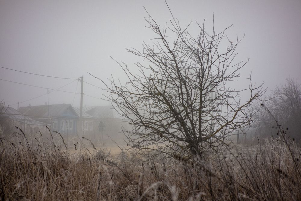 Photograph by Андрей Трубачев