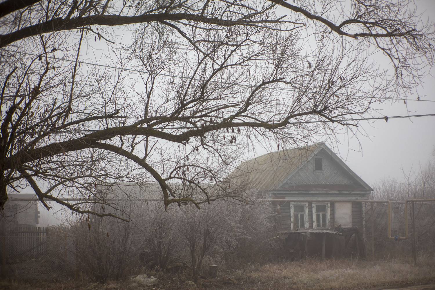 Photo #6699364