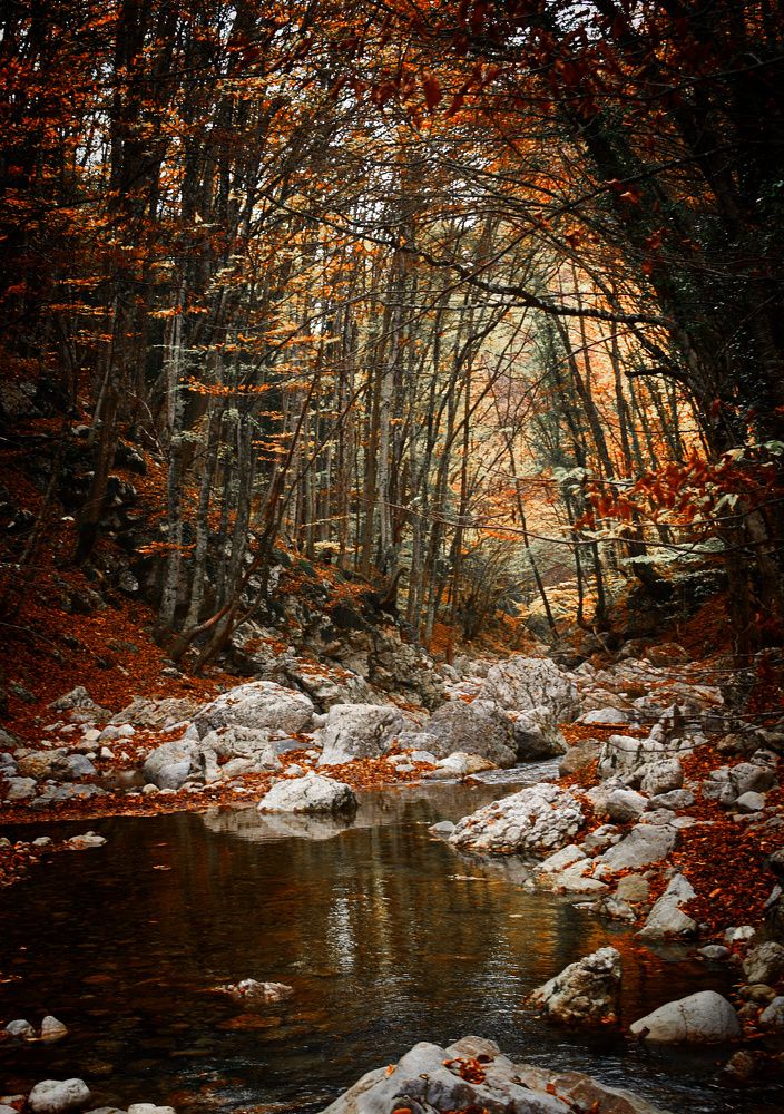 Photograph by Екатерина Гордеева