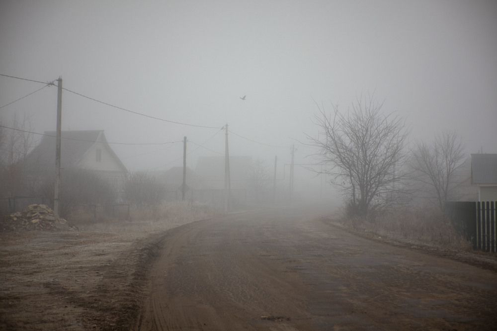 Photograph by Андрей Трубачев
