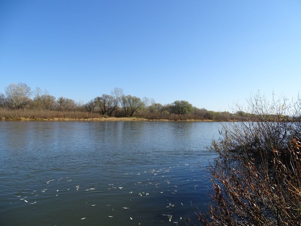 Фотография автора Александр Осинцев