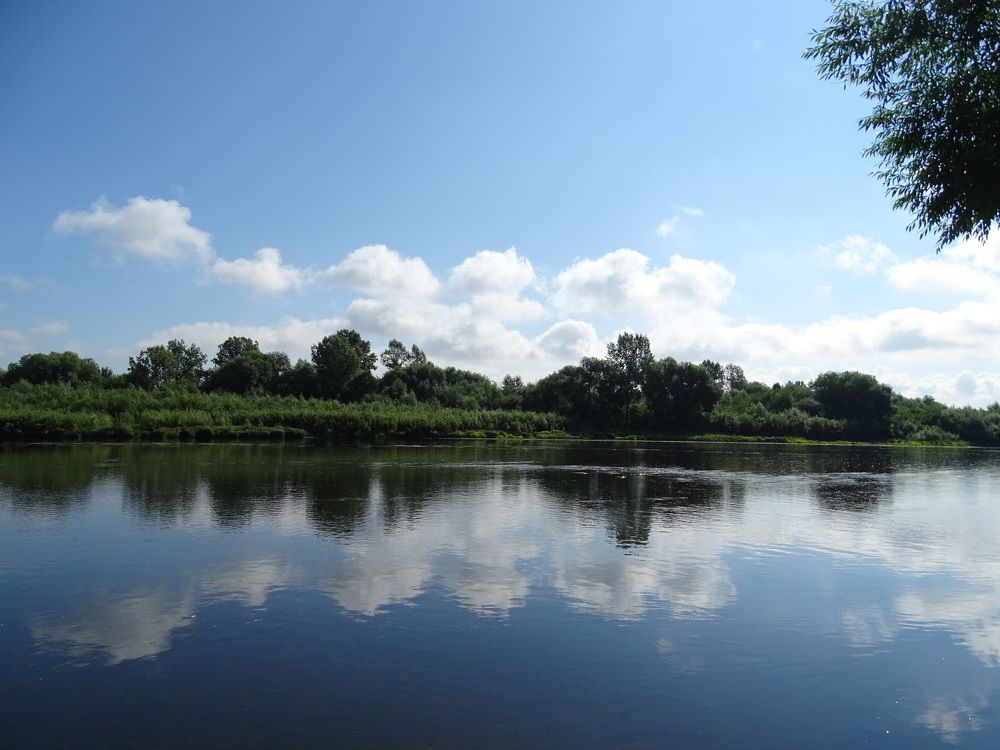 Фотография автора Александр Осинцев