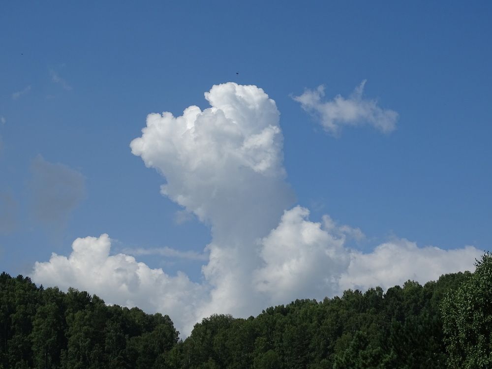 Фотография автора Александр Осинцев