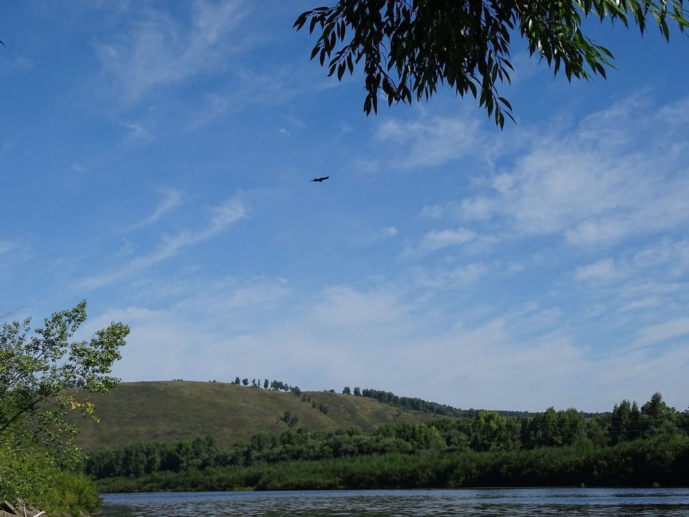 Фотография автора Александр Осинцев