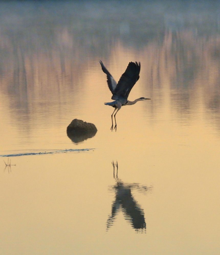 Фотография автора Bastini Gabriele