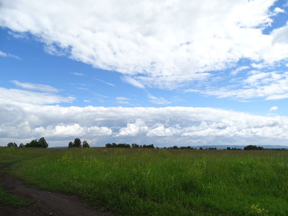 Фотография автора Александр Осинцев