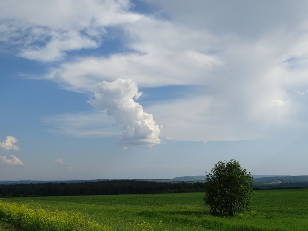 Фотография автора Александр Осинцев