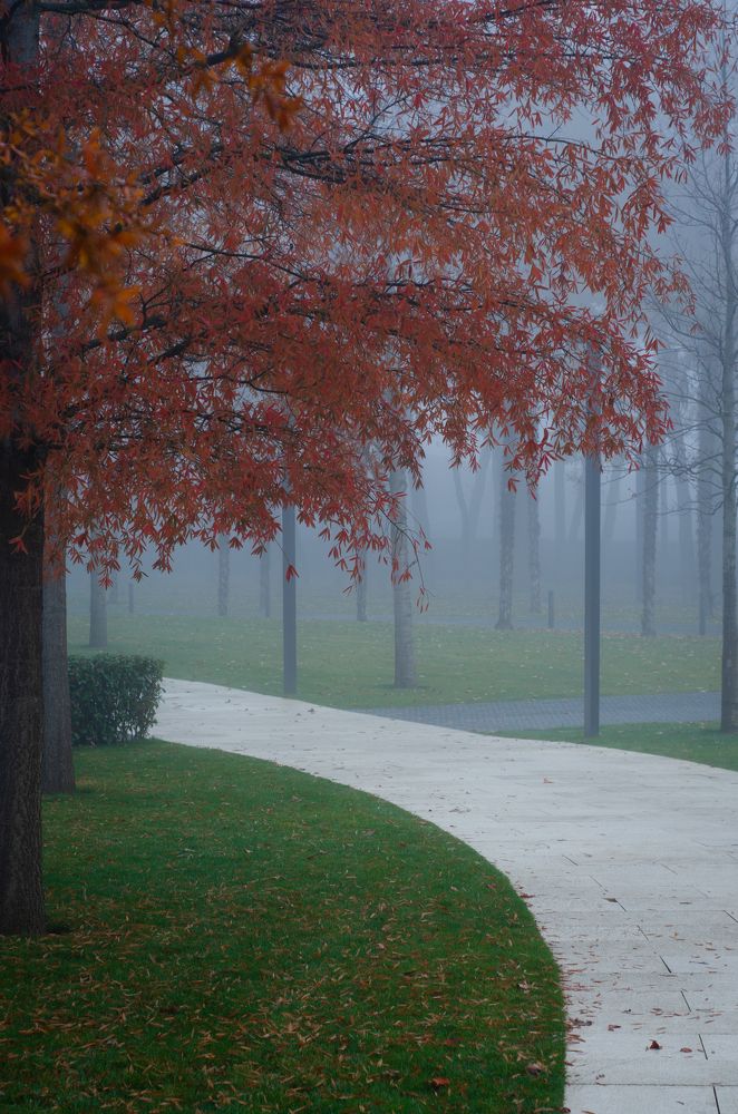 Photograph by Анастасия Кашенко