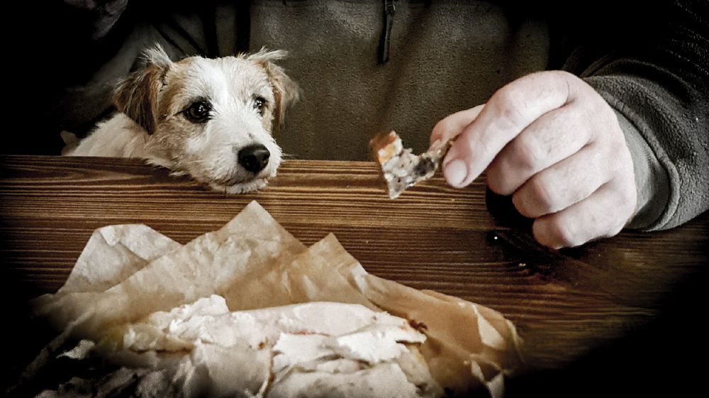 Не верьте Венди