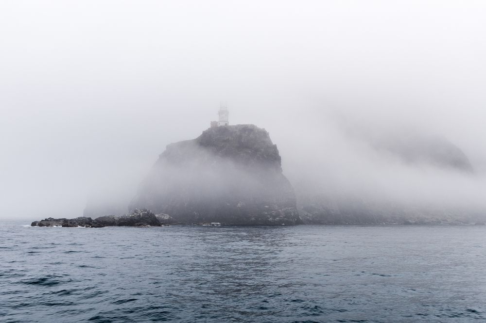 Photograph by Евгений Моляшов