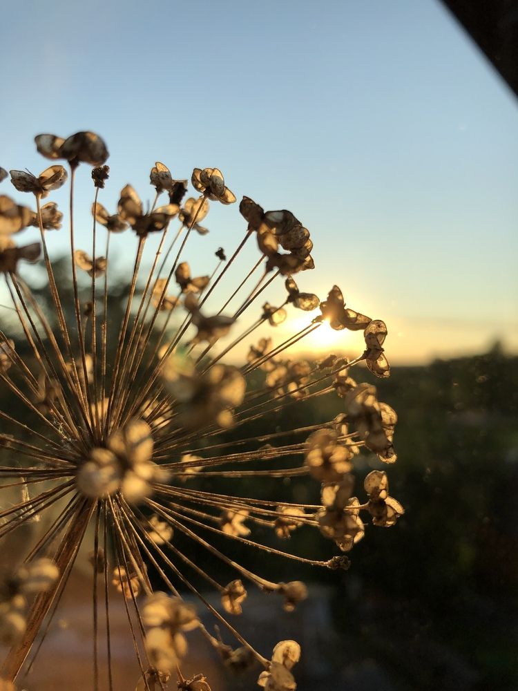 Photograph by Алена Жирова