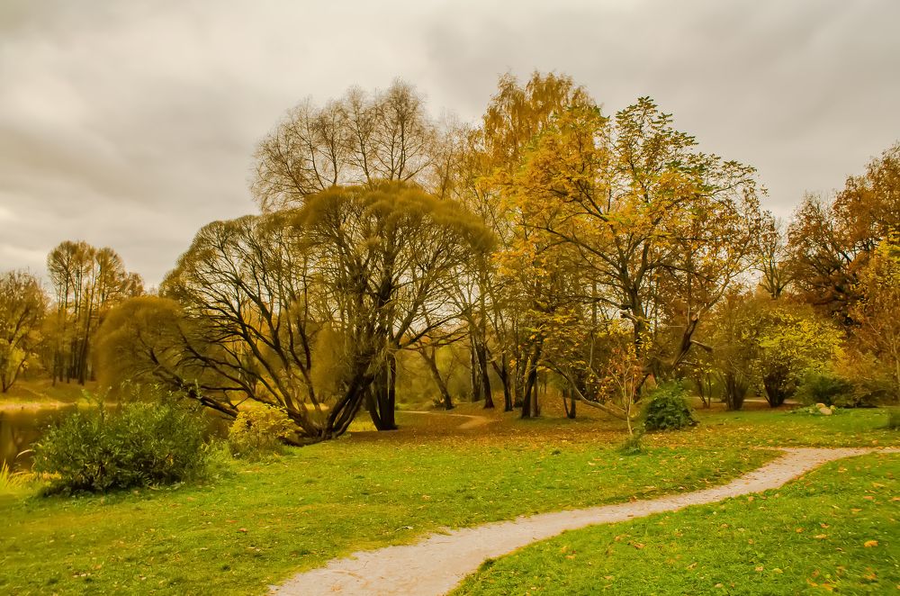 Photograph by Алексей Чеботарев