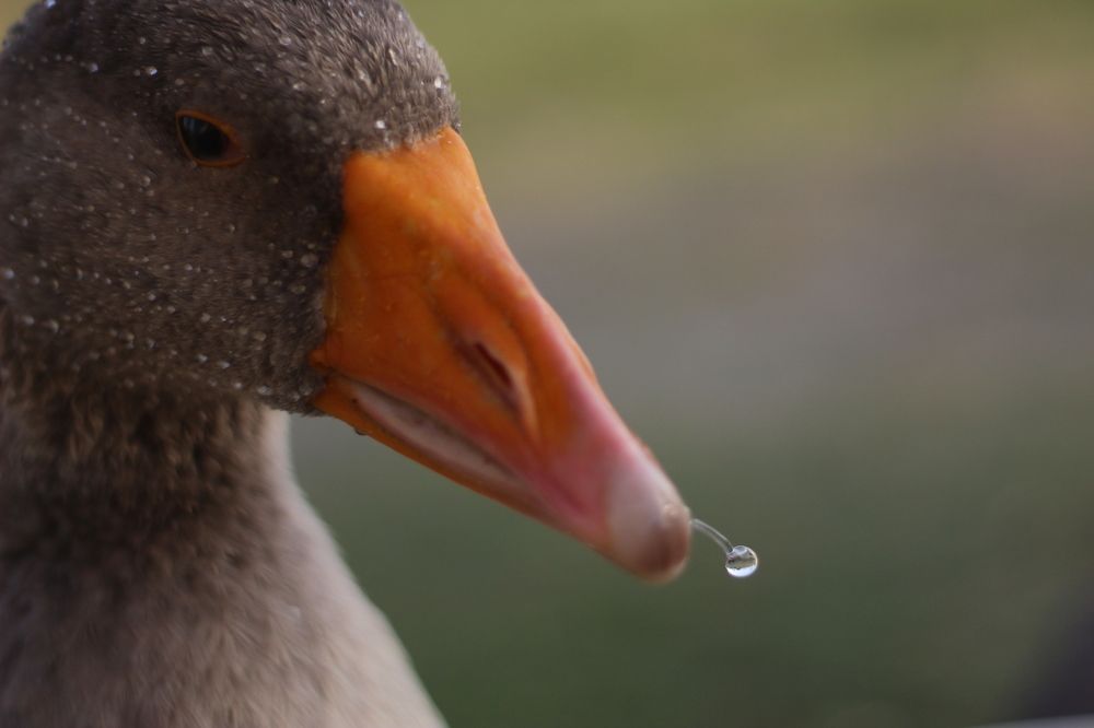 Photograph by Panagiotis Batatolis