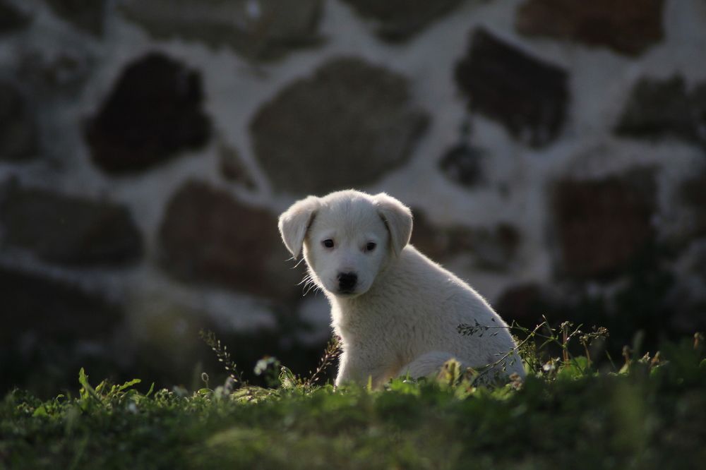 Photograph by Panagiotis Batatolis