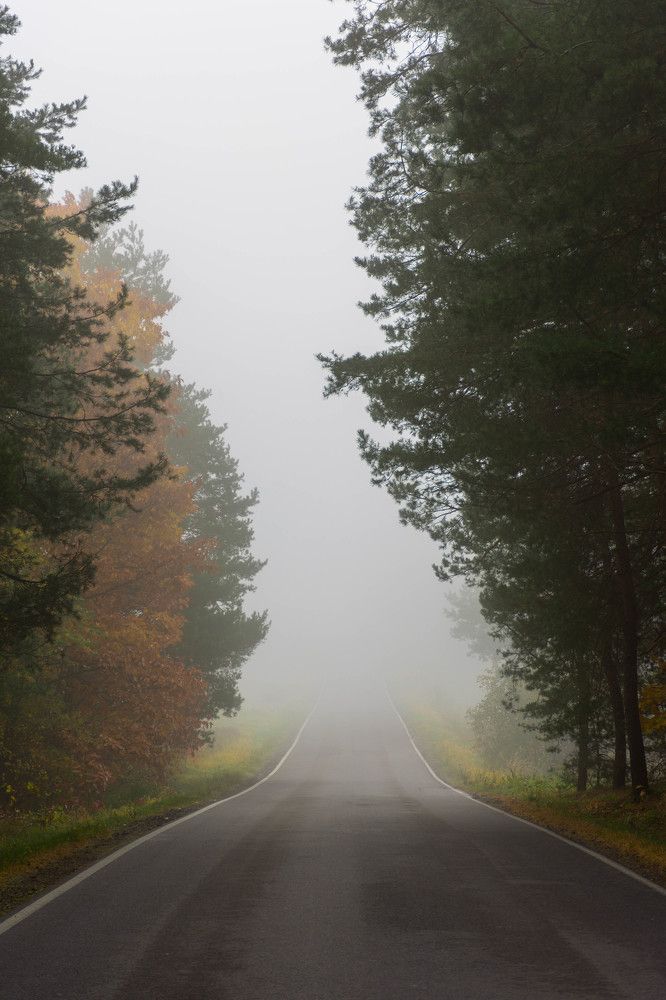 Photograph by Krzysztof Bozalek