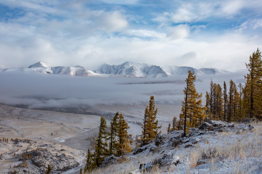 Photograph by Марина Бузина