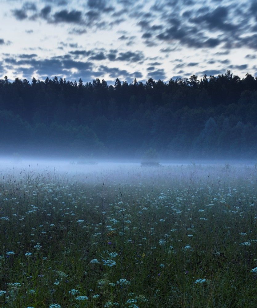Фотография автора Кирилл Баканов