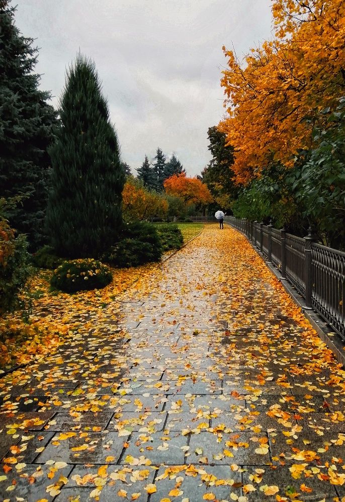 Photograph by Марина Копаева