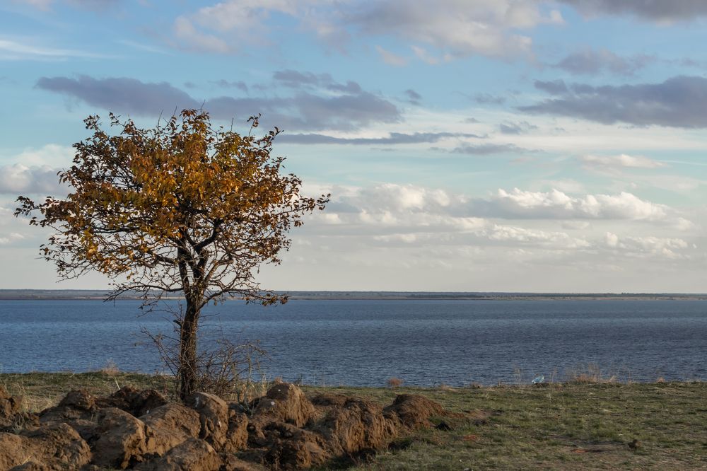 Photograph by Oxana Kuznetsova