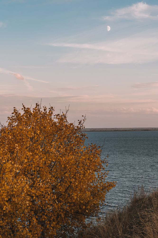 Photograph by Oxana Kuznetsova