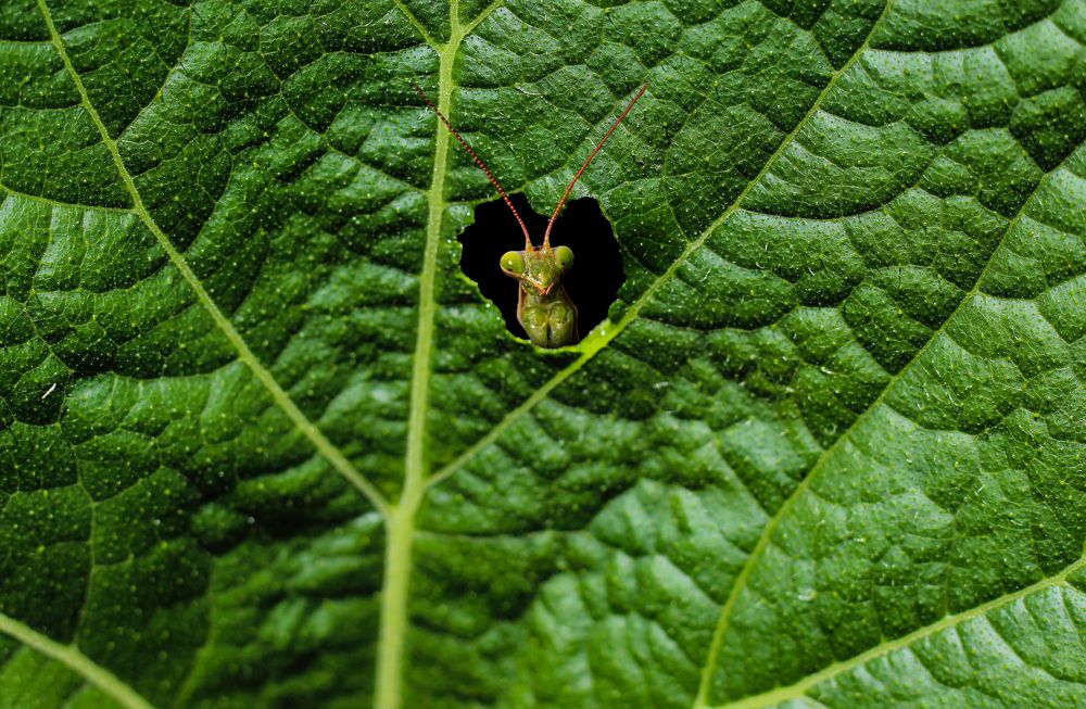 Photograph by Panagiotis Batatolis