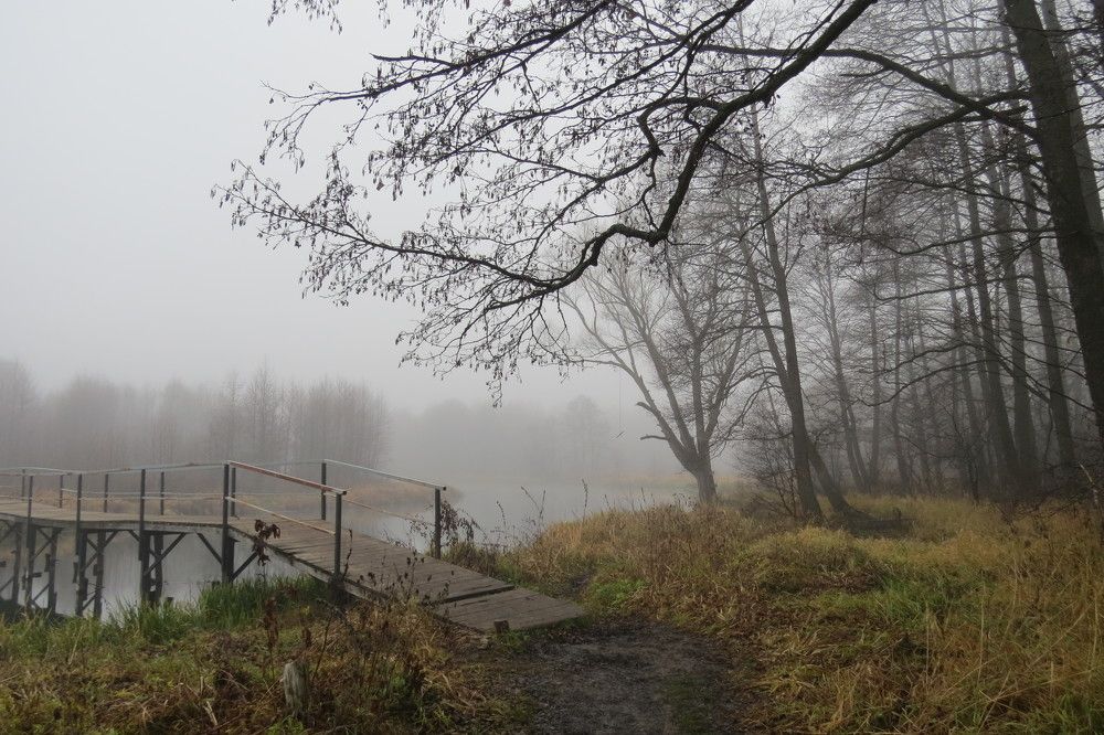 Туманный берег