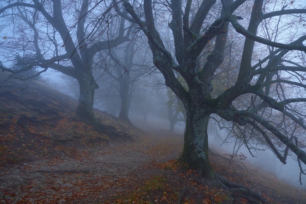 Photograph by Juri Vollenweider