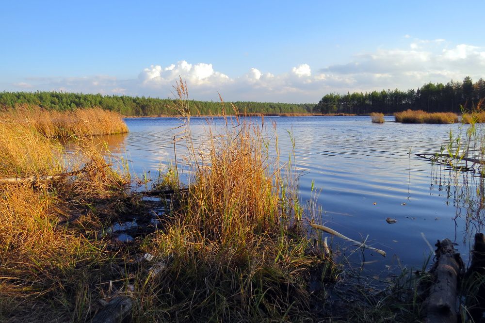 Лесное Озеро