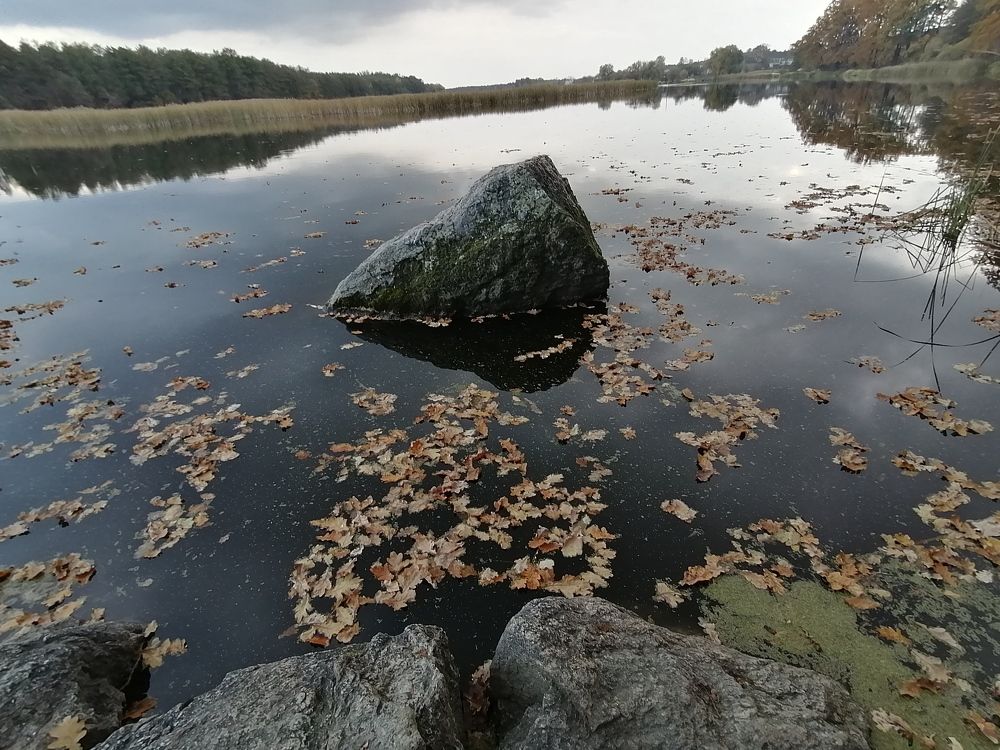 Photo #6699588