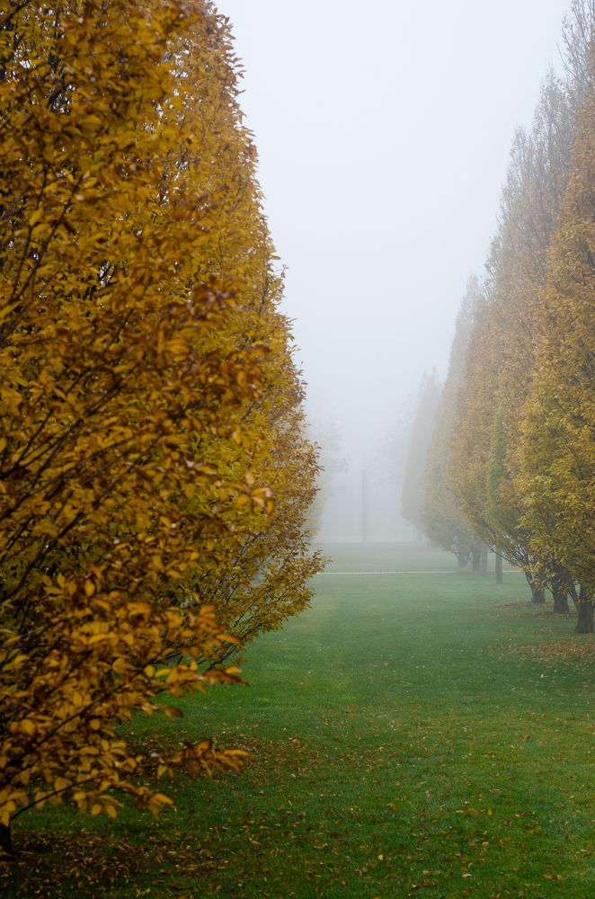 Photograph by Анастасия Кашенко