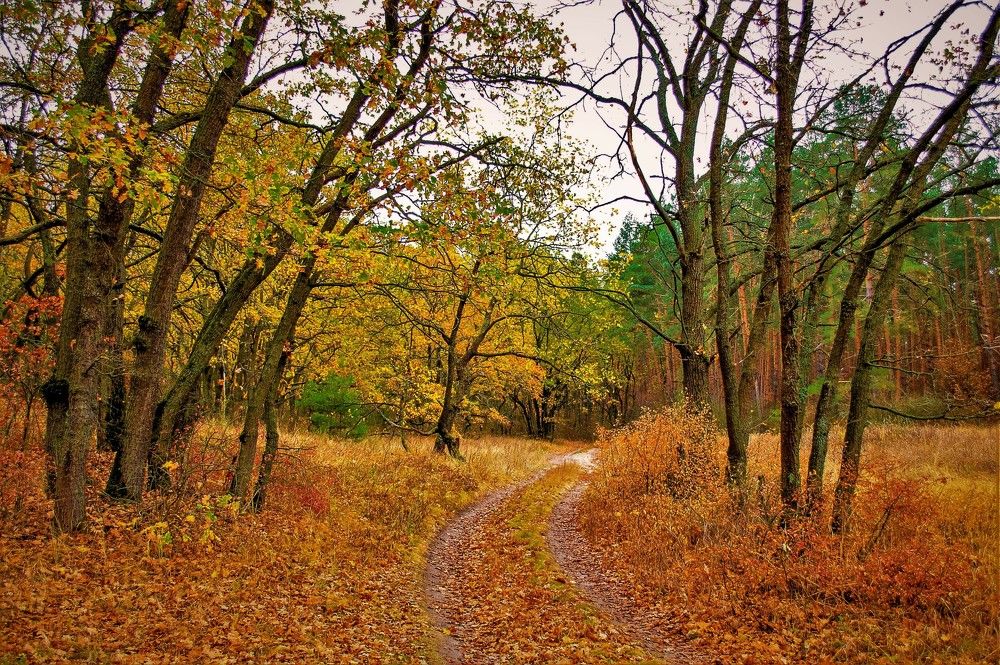 Photograph by Алексей Сиваков