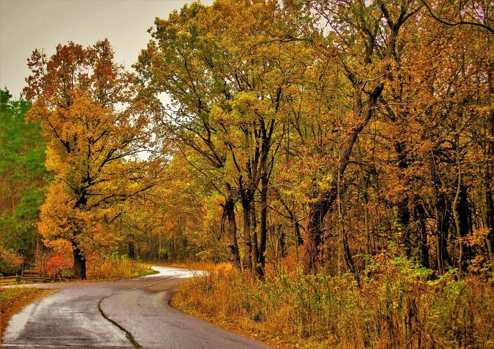 Photograph by Алексей Сиваков