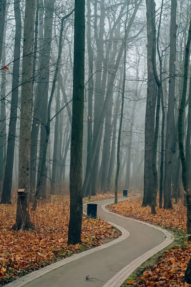 Photograph by Александрина Маринова
