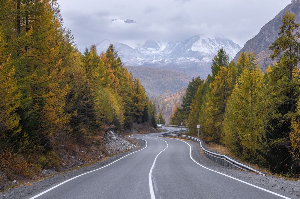 Autumn road in the Altai mountains.