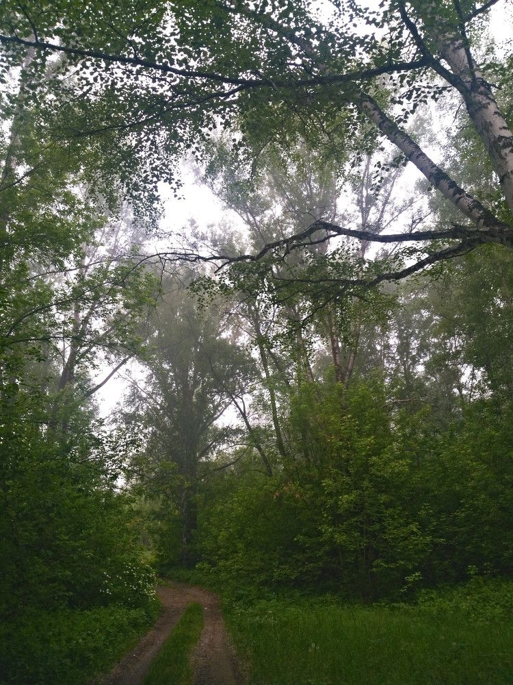 Photo #6699641