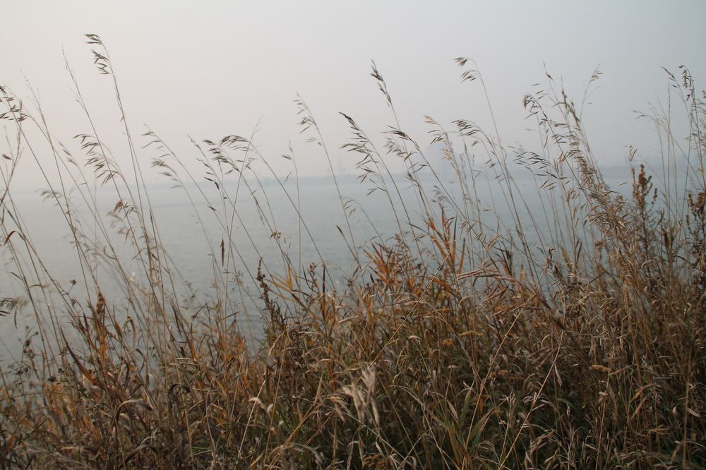 Photograph by Артем Илошваи