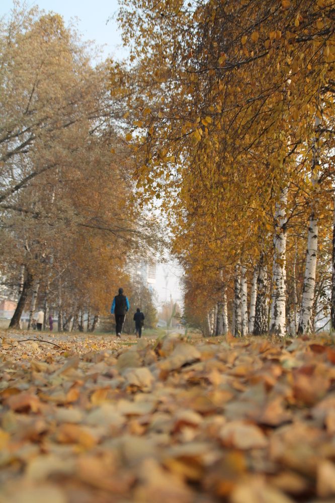 Photograph by Артем Илошваи