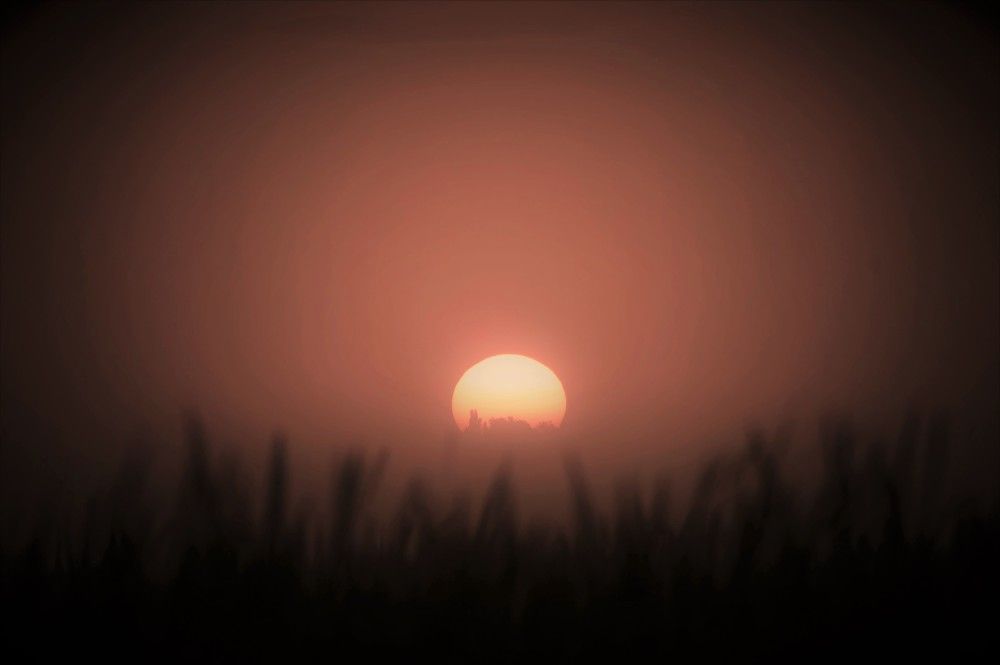 Photograph by Алексей Сиваков