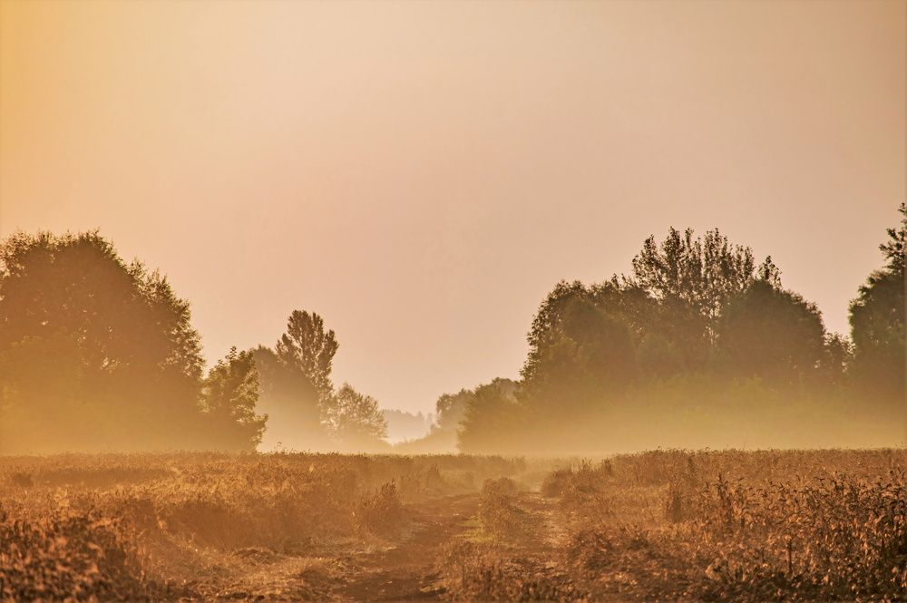 Photograph by Алексей Сиваков